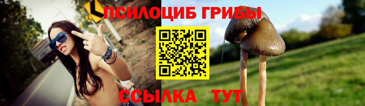 Псилоцибиновые грибы Psilocybe  Вход с VPN  Шарыпово 